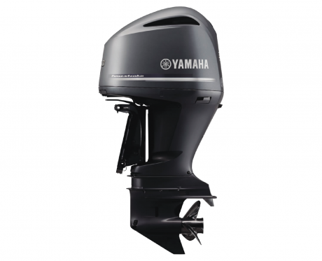 Yamaha F300 